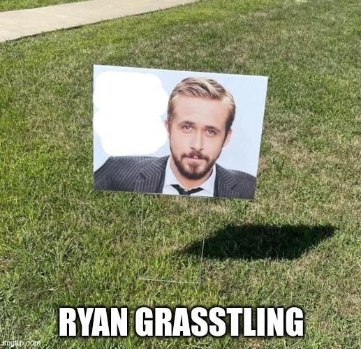 RYAN GRASSTLING | made w/ Imgflip meme maker