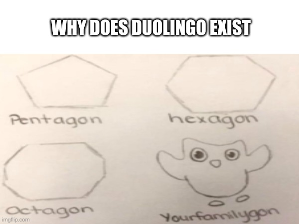 why does duo exist | WHY DOES DUOLINGO EXIST | image tagged in repost,fun | made w/ Imgflip meme maker