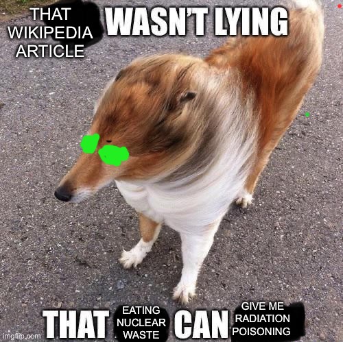 it really does | THAT WIKIPEDIA ARTICLE; EATING NUCLEAR WASTE; GIVE ME RADIATION POISONING | image tagged in that x wasn t lying that y can action | made w/ Imgflip meme maker