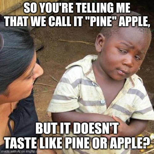 Pineapple | SO YOU'RE TELLING ME THAT WE CALL IT "PINE" APPLE, BUT IT DOESN'T TASTE LIKE PINE OR APPLE? | image tagged in memes,third world skeptical kid | made w/ Imgflip meme maker