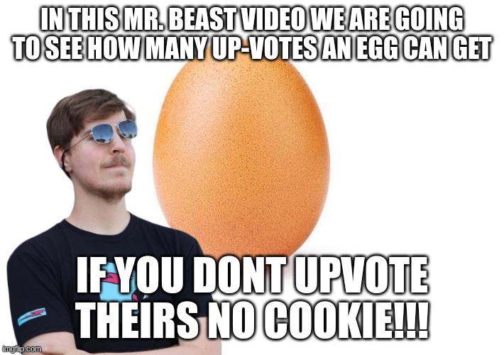 Mr. Beast | IN THIS MR. BEAST VIDEO WE ARE GOING TO SEE HOW MANY UP-VOTES AN EGG CAN GET; IF YOU DONT UPVOTE THEIRS NO COOKIE!!! | image tagged in eggbert | made w/ Imgflip meme maker