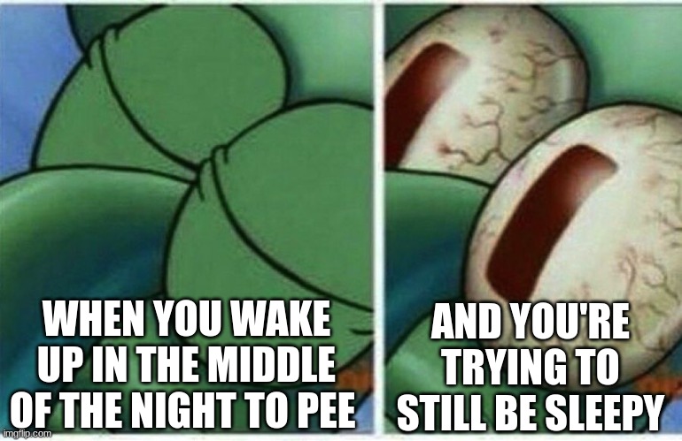 sleepybye | WHEN YOU WAKE UP IN THE MIDDLE OF THE NIGHT TO PEE; AND YOU'RE TRYING TO STILL BE SLEEPY | image tagged in squidward | made w/ Imgflip meme maker
