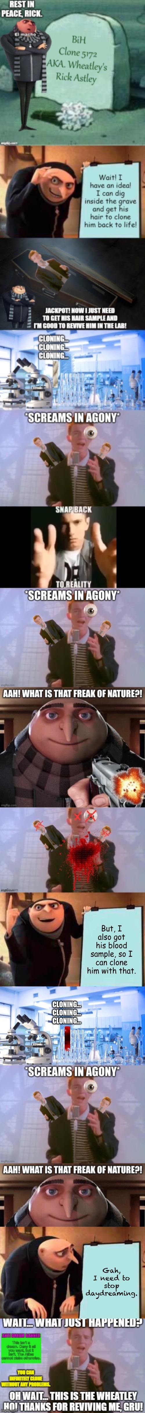 I said to face it | Gah, I need to stop daydreaming. | image tagged in memes,gru's plan | made w/ Imgflip meme maker