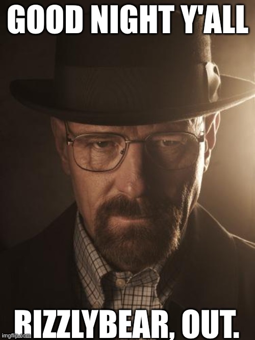Walter White | GOOD NIGHT Y'ALL; RIZZLYBEAR, OUT. | image tagged in walter white | made w/ Imgflip meme maker