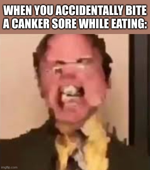 ouch | WHEN YOU ACCIDENTALLY BITE A CANKER SORE WHILE EATING: | image tagged in dwight screaming | made w/ Imgflip meme maker