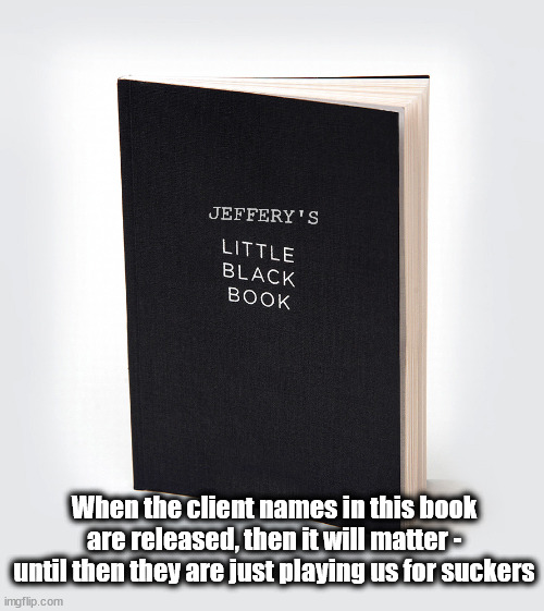 We are not that naive! | JEFFERY'S; When the client names in this book are released, then it will matter - until then they are just playing us for suckers | image tagged in jeffrey epstein,fools | made w/ Imgflip meme maker