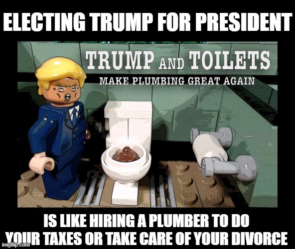 Donald Trump for President | ELECTING TRUMP FOR PRESIDENT; IS LIKE HIRING A PLUMBER TO DO YOUR TAXES OR TAKE CARE OF YOUR DIVORCE | image tagged in trump the plumber,maga | made w/ Imgflip meme maker