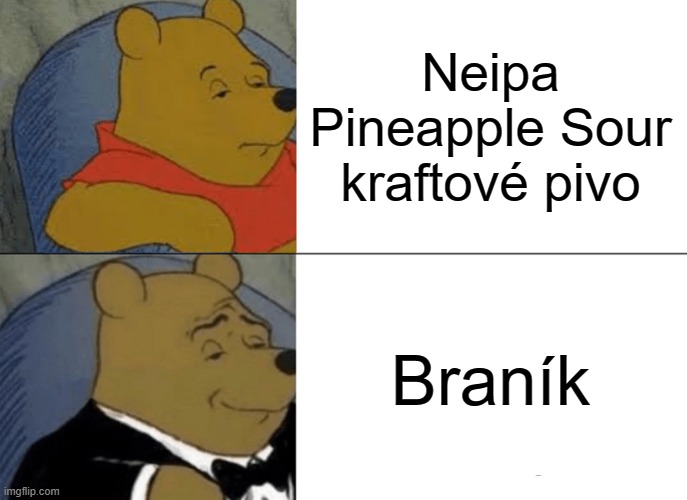 Tuxedo Winnie The Pooh Meme | Neipa Pineapple Sour kraftové pivo; Braník | image tagged in memes,tuxedo winnie the pooh | made w/ Imgflip meme maker