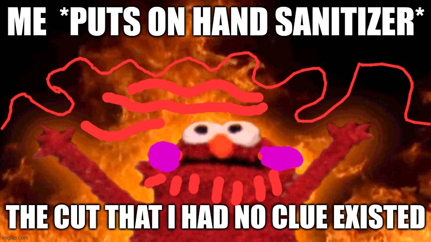 elmo fire | ME  *PUTS ON HAND SANITIZER*; THE CUT THAT I HAD NO CLUE EXISTED | image tagged in elmo fire | made w/ Imgflip meme maker