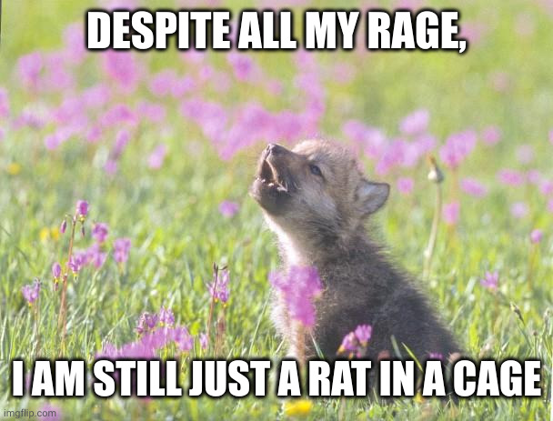 Despite all my rage, I am still just a wolf pup in a meadow | DESPITE ALL MY RAGE, I AM STILL JUST A RAT IN A CAGE | image tagged in memes,baby insanity wolf,rat in a cage,rage,flowers,meadow | made w/ Imgflip meme maker