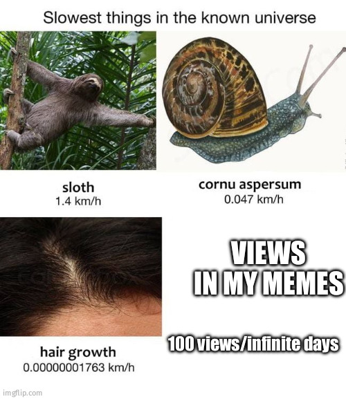1000 is the impossible one | VIEWS IN MY MEMES; 100 views/infinite days | image tagged in slowest things | made w/ Imgflip meme maker