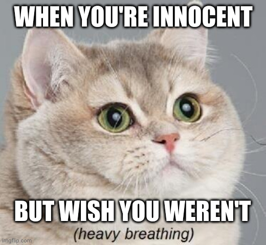 Innocent but want to be guilty | WHEN YOU'RE INNOCENT; BUT WISH YOU WEREN'T | image tagged in memes,heavy breathing cat,innocent,guilty,it's complicated,fantasy | made w/ Imgflip meme maker