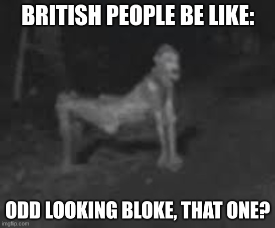 silly | BRITISH PEOPLE BE LIKE:; ODD LOOKING BLOKE, THAT ONE? | image tagged in memes,funny | made w/ Imgflip meme maker