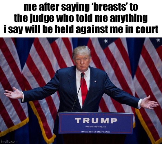 200 IQ | me after saying ‘breasts’ to the judge who told me anything i say will be held against me in court | image tagged in donald trump | made w/ Imgflip meme maker