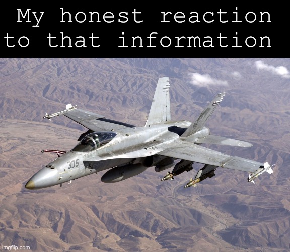 McDonnell Douglas F/A-18 Hornet | My honest reaction to that information | made w/ Imgflip meme maker