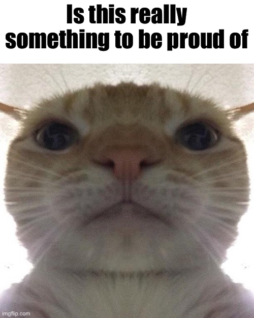 Staring Cat/Gusic | Is this really something to be proud of | image tagged in staring cat/gusic | made w/ Imgflip meme maker
