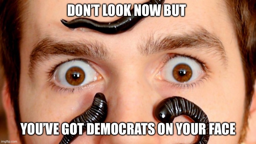 leech | DON’T LOOK NOW BUT; YOU’VE GOT DEMOCRATS ON YOUR FACE | image tagged in leech | made w/ Imgflip meme maker