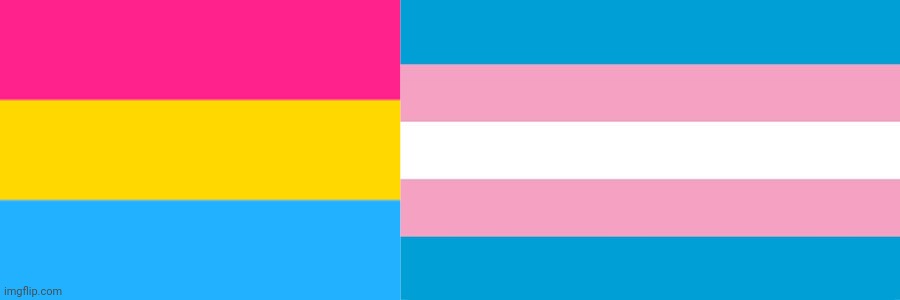 image tagged in pansexual flag,transgender flag | made w/ Imgflip meme maker