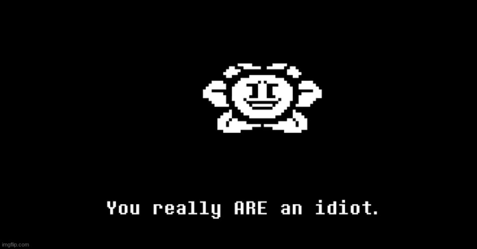 Flowey You Really Are An Idiot | image tagged in flowey you really are an idiot | made w/ Imgflip meme maker