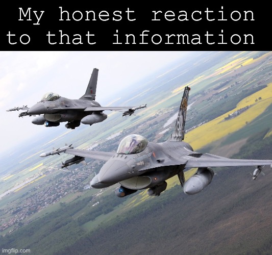F-16 Viper | My honest reaction to that information | made w/ Imgflip meme maker
