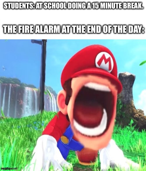 What does a school fire alarm sounds like? | STUDENTS: AT SCHOOL DOING A 15 MINUTE BREAK. THE FIRE ALARM AT THE END OF THE DAY: | image tagged in mario screaming,memes,school | made w/ Imgflip meme maker