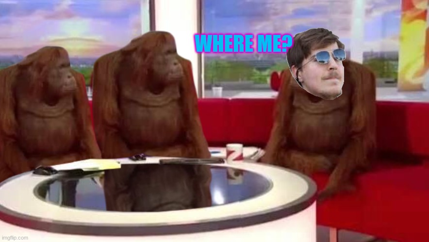 where monkey | WHERE ME? | image tagged in where monkey | made w/ Imgflip meme maker