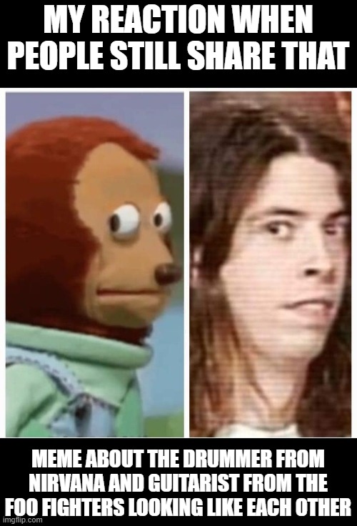 Grohl | MY REACTION WHEN PEOPLE STILL SHARE THAT; MEME ABOUT THE DRUMMER FROM NIRVANA AND GUITARIST FROM THE FOO FIGHTERS LOOKING LIKE EACH OTHER | image tagged in dave grohl,foo fighters,nirvana | made w/ Imgflip meme maker
