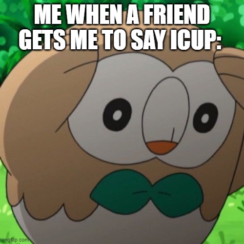 Rowlet Meme Template | ME WHEN A FRIEND GETS ME TO SAY ICUP: | image tagged in rowlet meme template | made w/ Imgflip meme maker