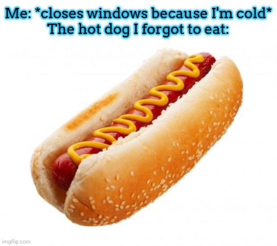 Hot dog  | Me: *closes windows because I'm cold*
The hot dog I forgot to eat: | image tagged in hot dog | made w/ Imgflip meme maker