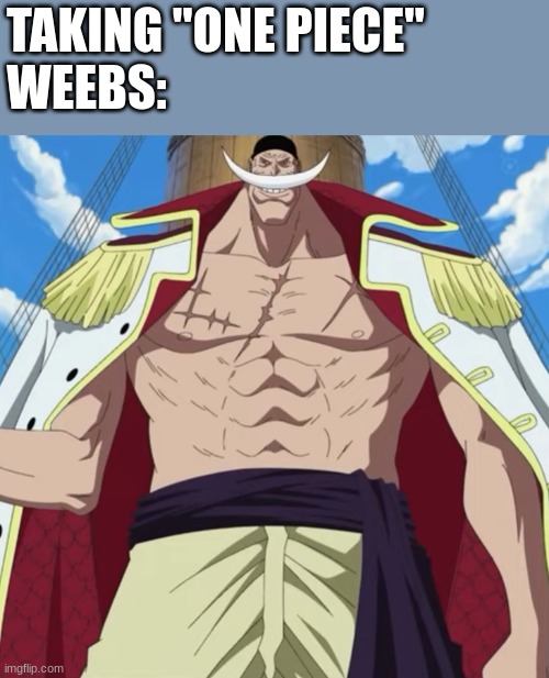 weebs | TAKING "ONE PIECE"
WEEBS: | image tagged in weebs | made w/ Imgflip meme maker
