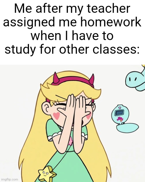 Star Butterfly Severe Facepalm | Me after my teacher assigned me homework when I have to study for other classes: | image tagged in star butterfly severe facepalm | made w/ Imgflip meme maker
