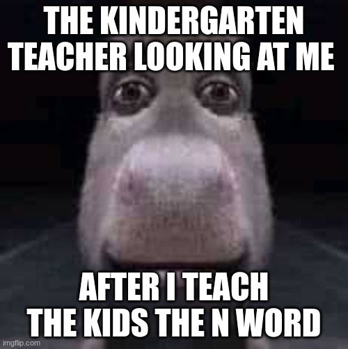 Donkey staring | THE KINDERGARTEN TEACHER LOOKING AT ME; AFTER I TEACH THE KIDS THE N WORD | image tagged in donkey staring | made w/ Imgflip meme maker