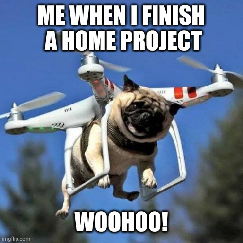 Flying Pug | ME WHEN I FINISH
 A HOME PROJECT; WOOHOO! | image tagged in flying pug,flying,success,memes,home project,job jar | made w/ Imgflip meme maker