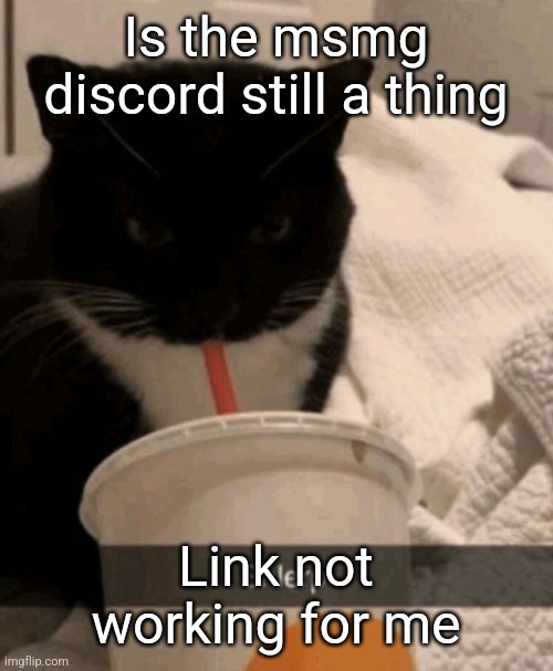 Shlerp | Is the msmg discord still a thing; Link not working for me | image tagged in shlerp | made w/ Imgflip meme maker