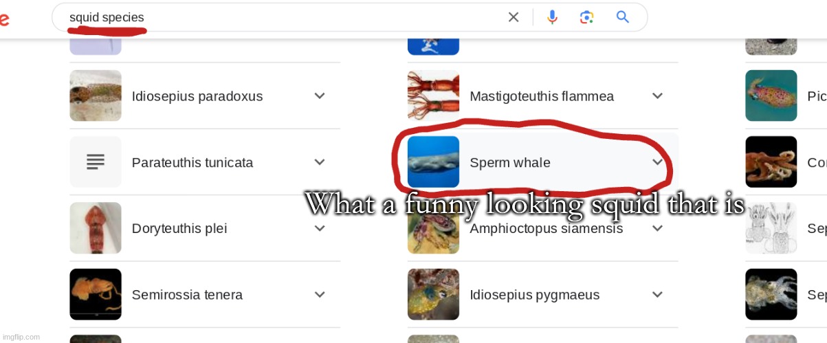 Me when th uh | What a funny looking squid that is | image tagged in squid,whale,whales,you had one job,you had one job just the one,google | made w/ Imgflip meme maker