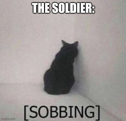 sobbing | THE SOLDIER: | image tagged in sobbing | made w/ Imgflip meme maker