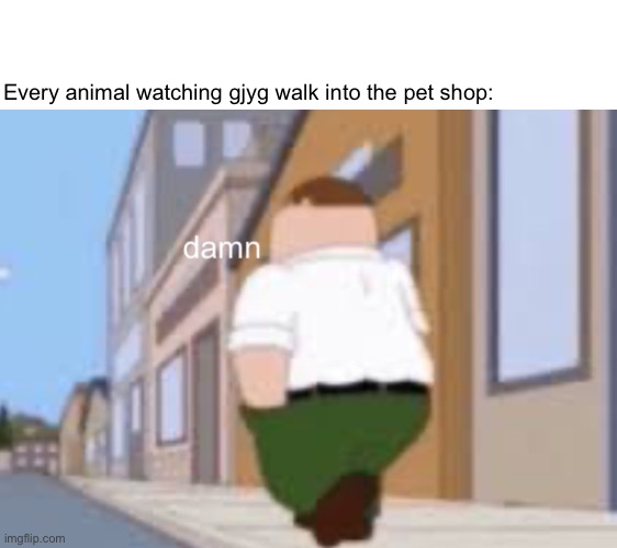 Damn | Every animal watching gjyg walk into the pet shop: | image tagged in damn | made w/ Imgflip meme maker