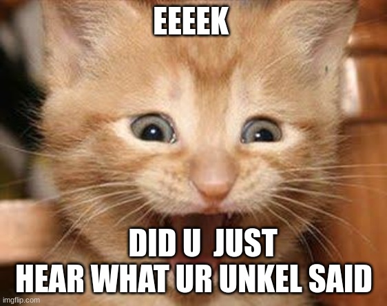 did ya hear | EEEEK; DID U  JUST HEAR WHAT UR UNKEL SAID | image tagged in memes,excited cat | made w/ Imgflip meme maker