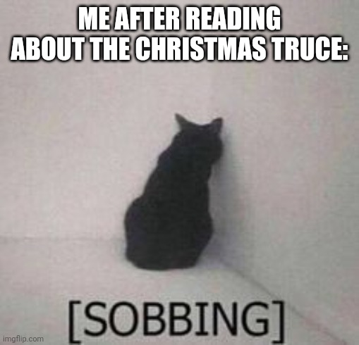 sobbing | ME AFTER READING ABOUT THE CHRISTMAS TRUCE: | image tagged in sobbing | made w/ Imgflip meme maker