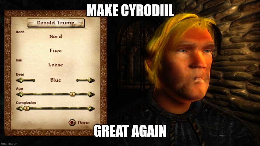 I made the Greatest President in Oblivion | MAKE CYRODIIL; GREAT AGAIN | image tagged in donald trump,oblivion,elder scrolls,maga | made w/ Imgflip meme maker