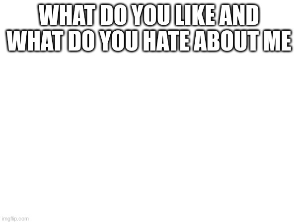 I assume you guys like nothing about me | WHAT DO YOU LIKE AND WHAT DO YOU HATE ABOUT ME | made w/ Imgflip meme maker
