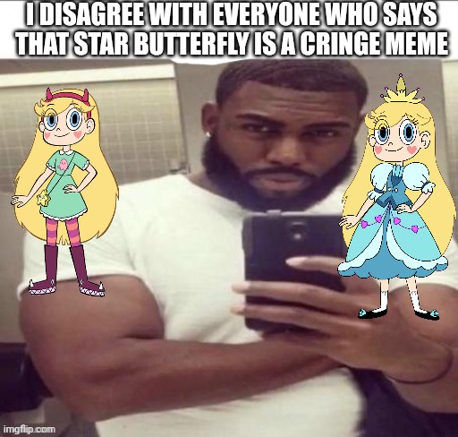 I love their series honestly :) | I DISAGREE WITH EVERYONE WHO SAYS THAT STAR BUTTERFLY IS A CRINGE MEME | image tagged in star vs the forces of evil,star butterfly w | made w/ Imgflip meme maker