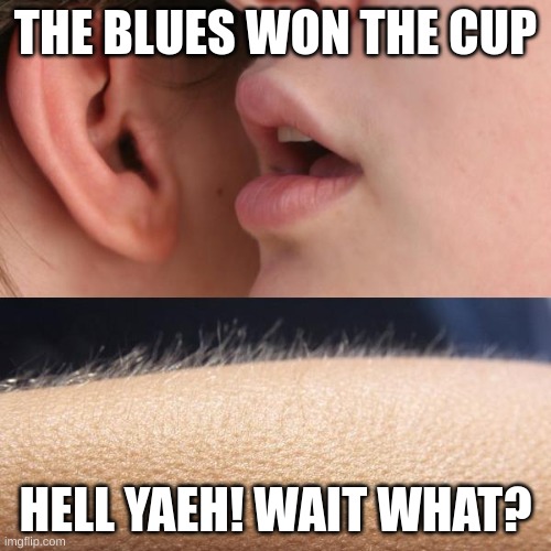 Whisper and Goosebumps | THE BLUES WON THE CUP; HELL YAEH! WAIT WHAT? | image tagged in whisper and goosebumps | made w/ Imgflip meme maker