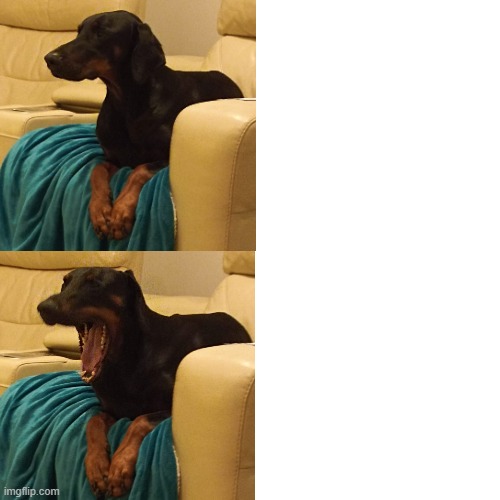 High Quality jaffa Blank Meme Template