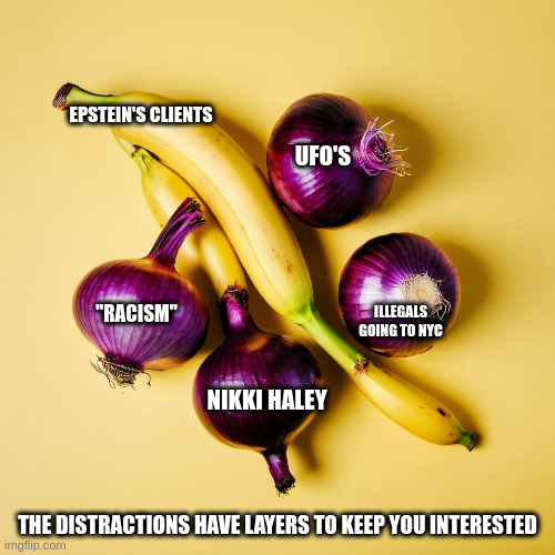 EPSTEIN'S CLIENTS; UFO'S; "RACISM"; ILLEGALS GOING TO NYC; NIKKI HALEY; THE DISTRACTIONS HAVE LAYERS TO KEEP YOU INTERESTED | image tagged in memes | made w/ Imgflip meme maker