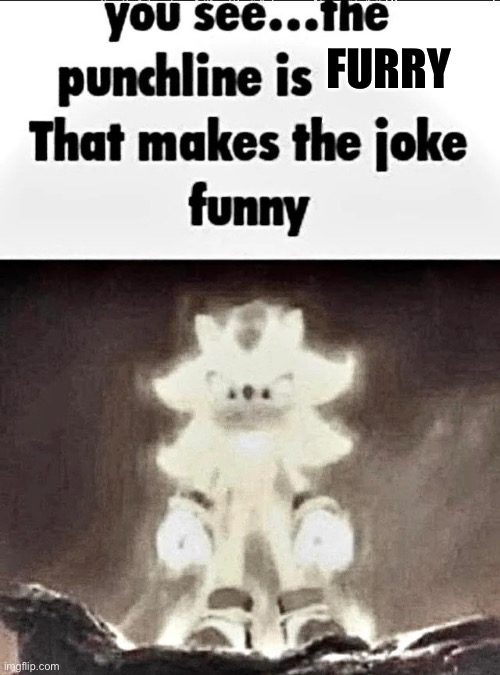 Shadow explains the joke | FURRY | image tagged in shadow explains the joke | made w/ Imgflip meme maker