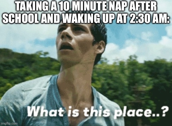 Maze Runner: What is this place! | TAKING A 10 MINUTE NAP AFTER SCHOOL AND WAKING UP AT 2:30 AM: | image tagged in maze runner what is this place | made w/ Imgflip meme maker