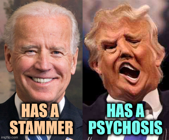 Several. | HAS A PSYCHOSIS; HAS A 
STAMMER | image tagged in biden solid stable trump acid drugs,biden,stammer,trump,psychopath | made w/ Imgflip meme maker
