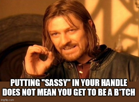 putting "sassy" in your handle does not mean you get to be a B*tch | PUTTING "SASSY" IN YOUR HANDLE DOES NOT MEAN YOU GET TO BE A B*TCH | image tagged in memes,one does not simply,funny,bitch,sassy,twitter | made w/ Imgflip meme maker