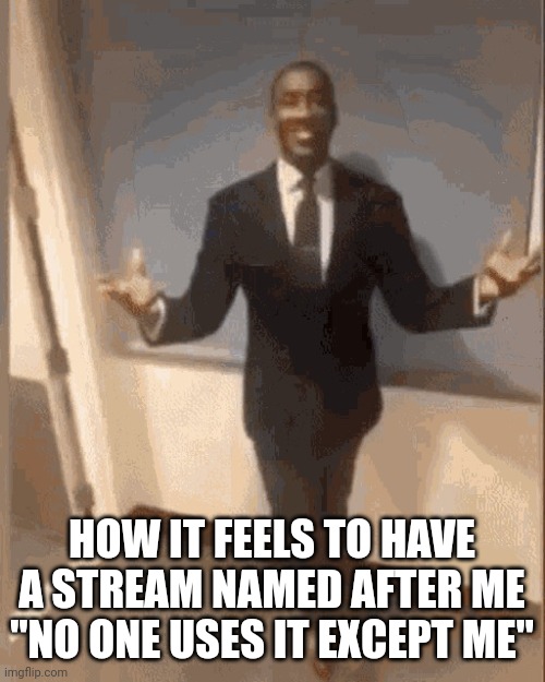 Professional | HOW IT FEELS TO HAVE A STREAM NAMED AFTER ME "NO ONE USES IT EXCEPT ME" | image tagged in smiling black guy in suit,for real | made w/ Imgflip meme maker